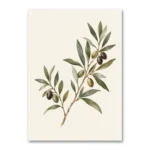 Minimal Zeytin Dalı Ege Esintisi Kanvas Tablo